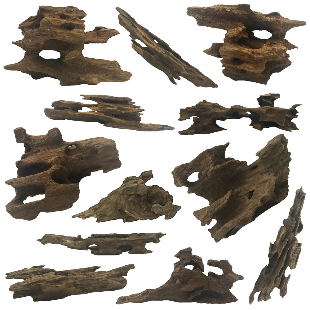 Hamiledyi driftwood 12-piece holey set with shrimp hiding holes for natural play.