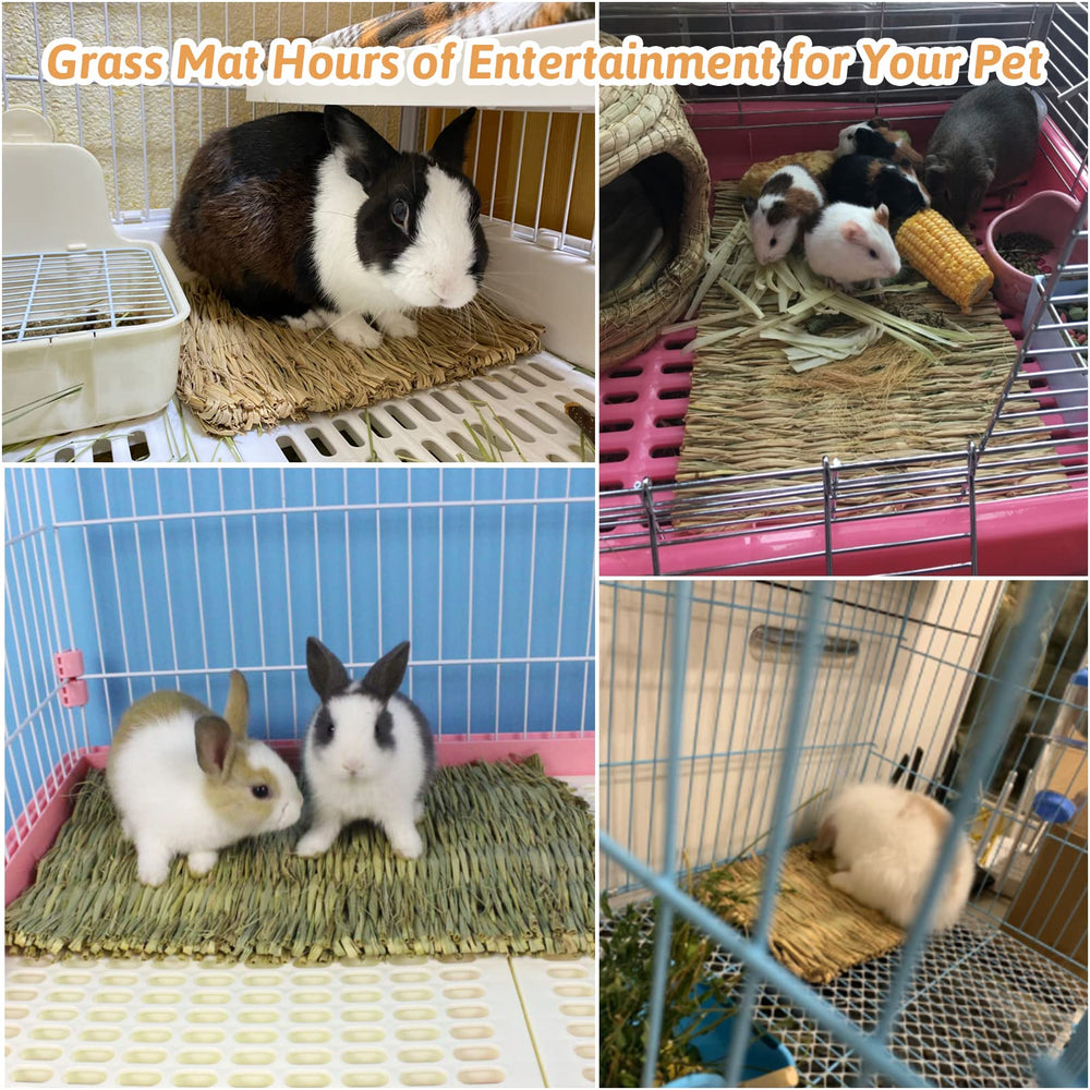 Hamiledyi natural handwoven grass offers sustainable, chemical-free surface for pets.