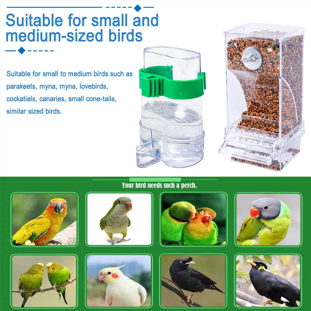 Hamiledyi No Mess Bird Feeders ideal for small birds like parakeets
