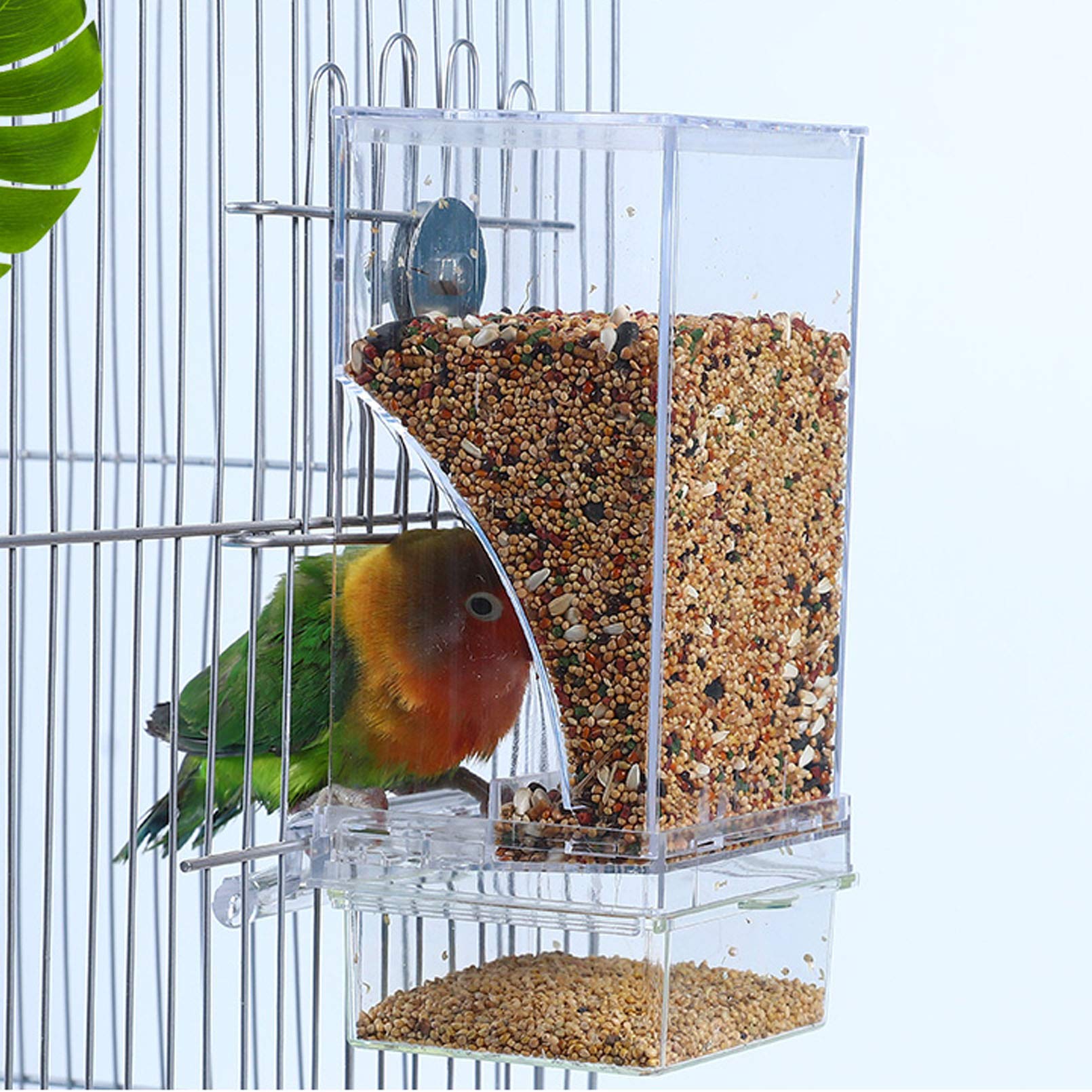 Hamiledyi parrot feeder perch design supports comfortable eating.
