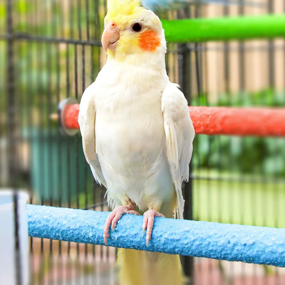 Hamiledyi parrot perch assembly easy-install with included hardware