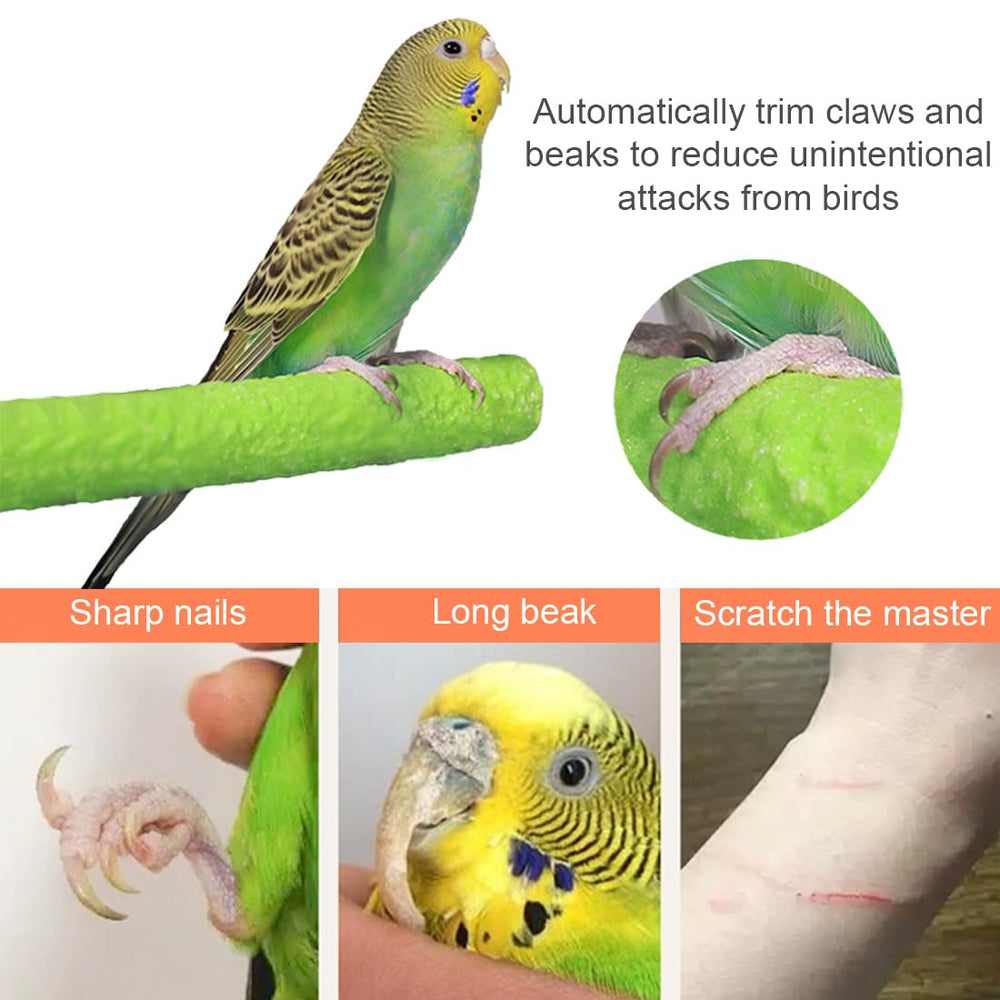 Hamiledyi parrot perch dimensions 20 cm long and 2 cm wide