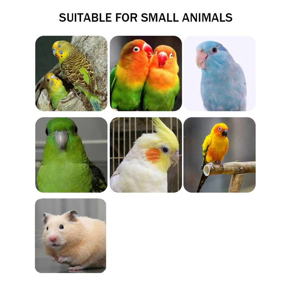 Hamiledyi parrot perch installation top-mount for secure cage placement.