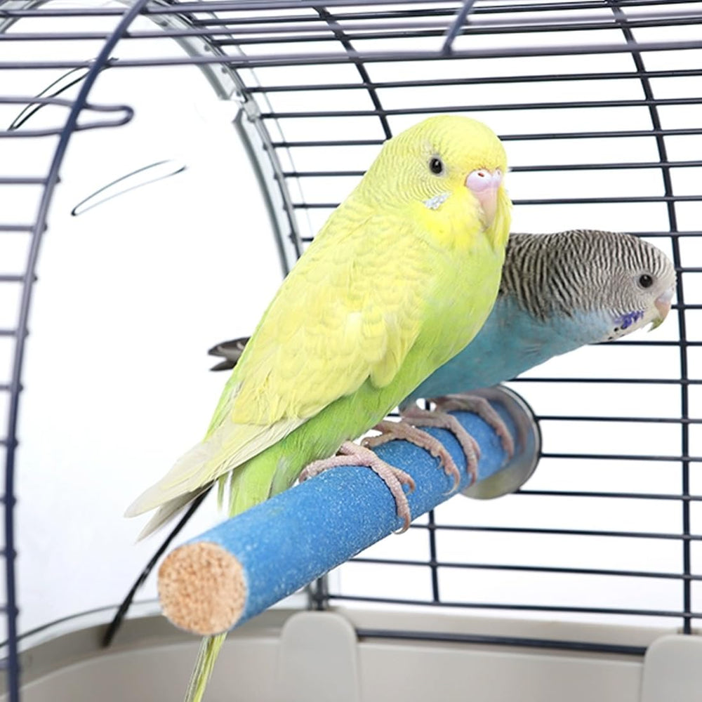 Hamiledyi parrot perches compatible with multiple species for variety