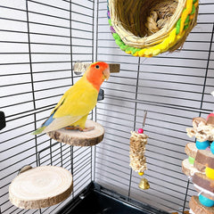 Hamiledyi wood perch platform side view demonstrates chew-safe surface for small pets
