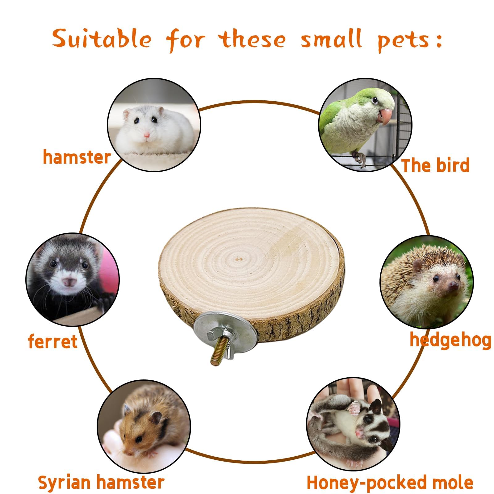 Hamiledyi round wooden perch in multi-pack supports varied climbing routes
