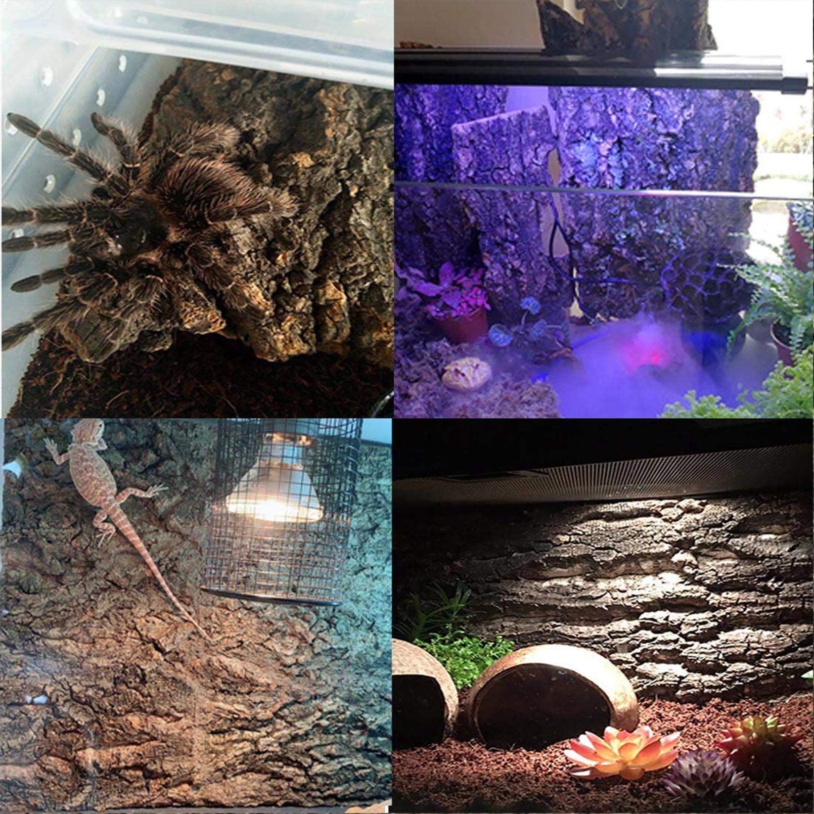 Hamiledyi pet-safe cork backdrops promote engaging terrarium setups.