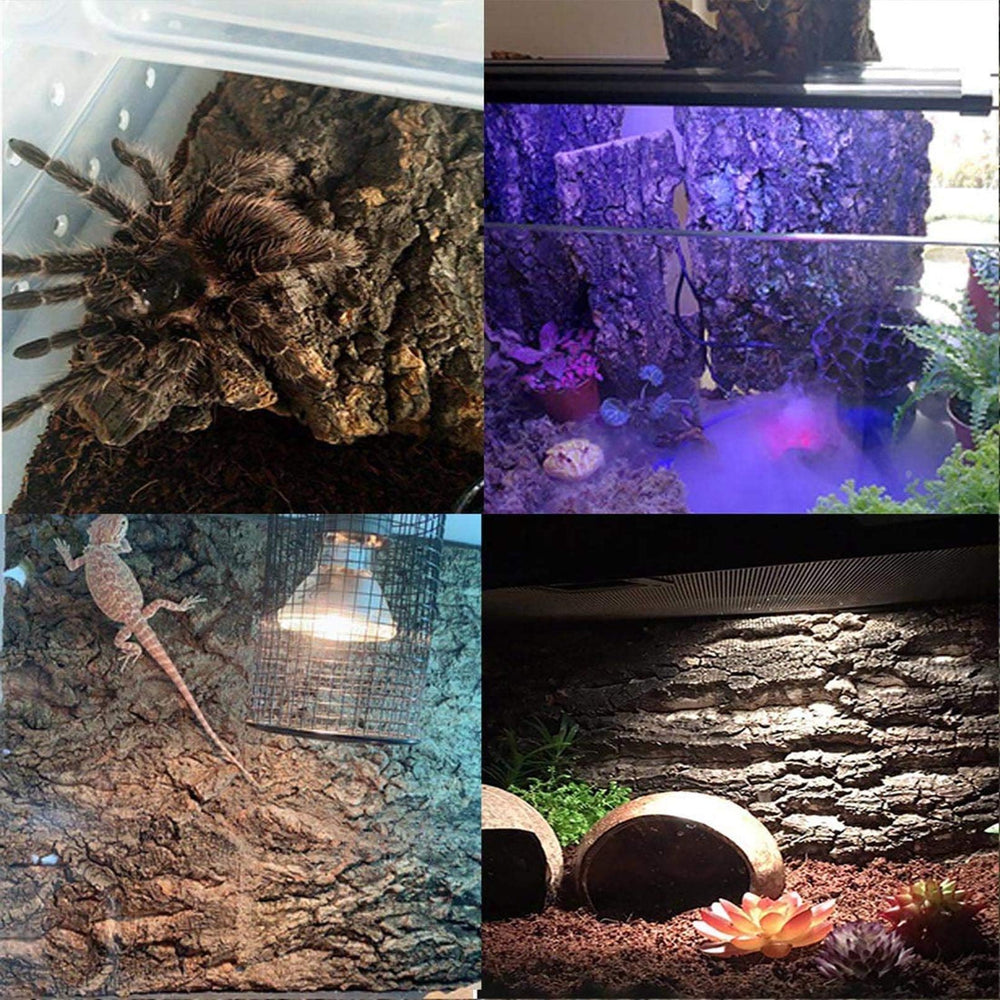 Hamiledyi pet-safe cork backdrops promote engaging terrarium setups.