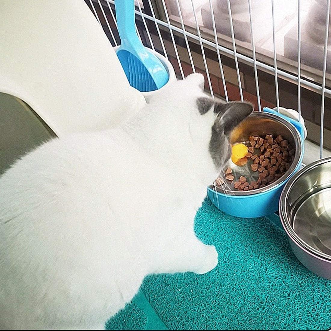 Hamiledyi pets including dogs, cats, and rabbits using bowls