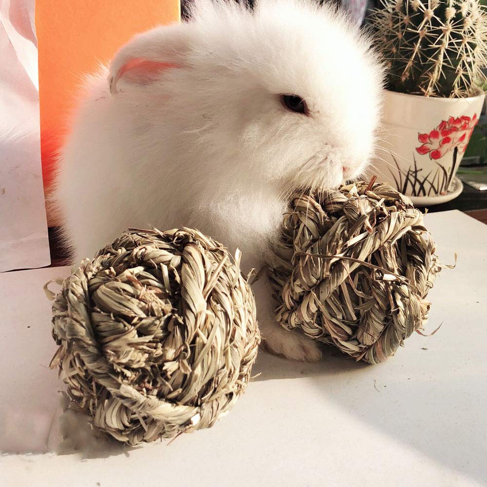 Hamiledyi rabbit chew ball bounce-action promotes lively engagement during supervised play.