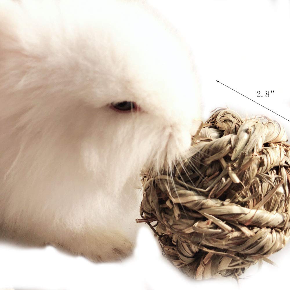 Hamiledyi rabbit chew ball timothy-roll image promotes active play and tunneling.