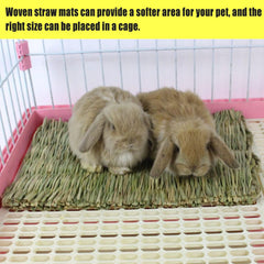Hamiledyi Rabbit Grass Mat tunnel setup—multifunctional play space for exploration