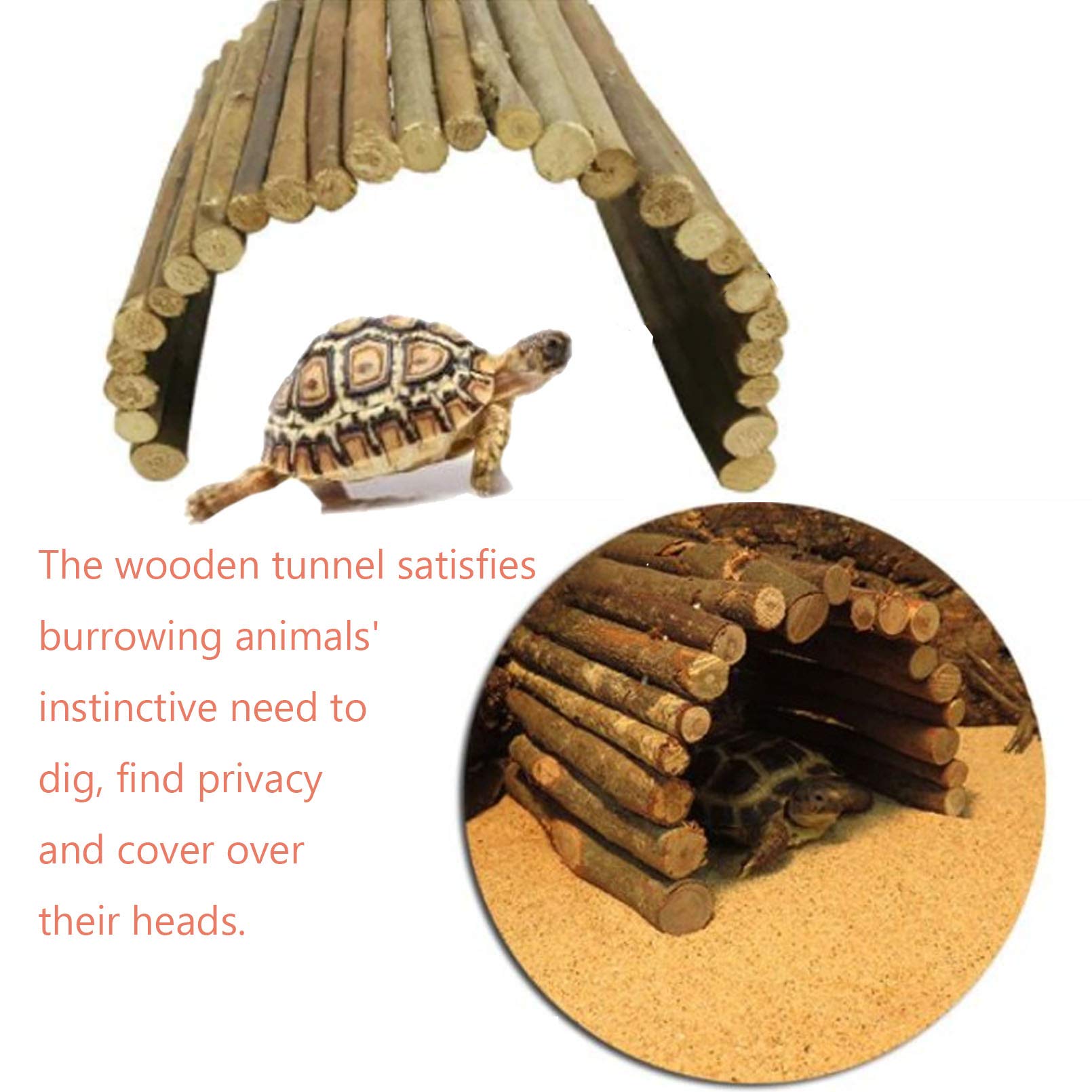 Hamiledyi reptile hideout closeup wood texture highlights durability