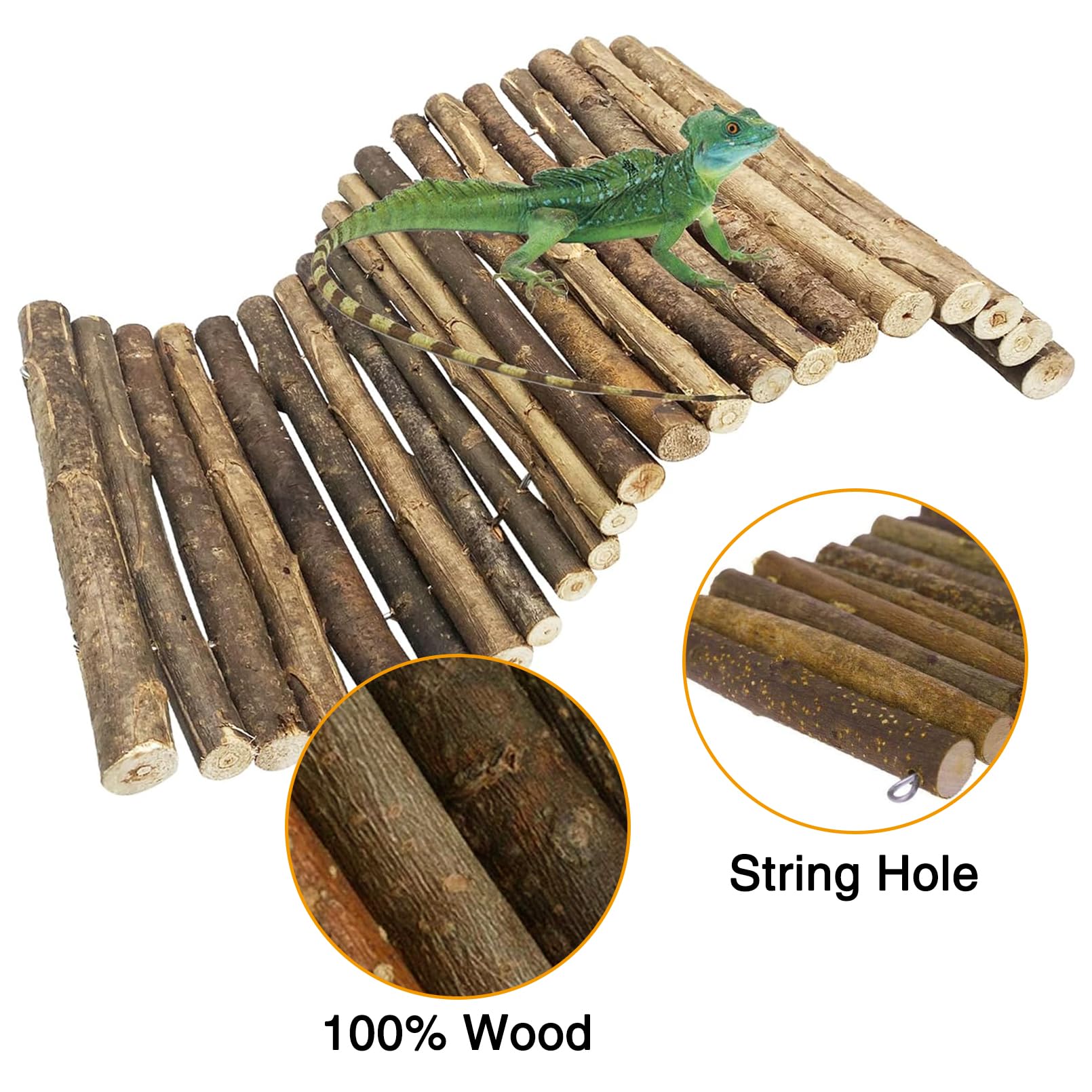 Hamiledyi reptile hideout tunnel with plants for exploration and privacy