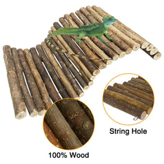 Hamiledyi reptile hideout tunnel with plants for exploration and privacy