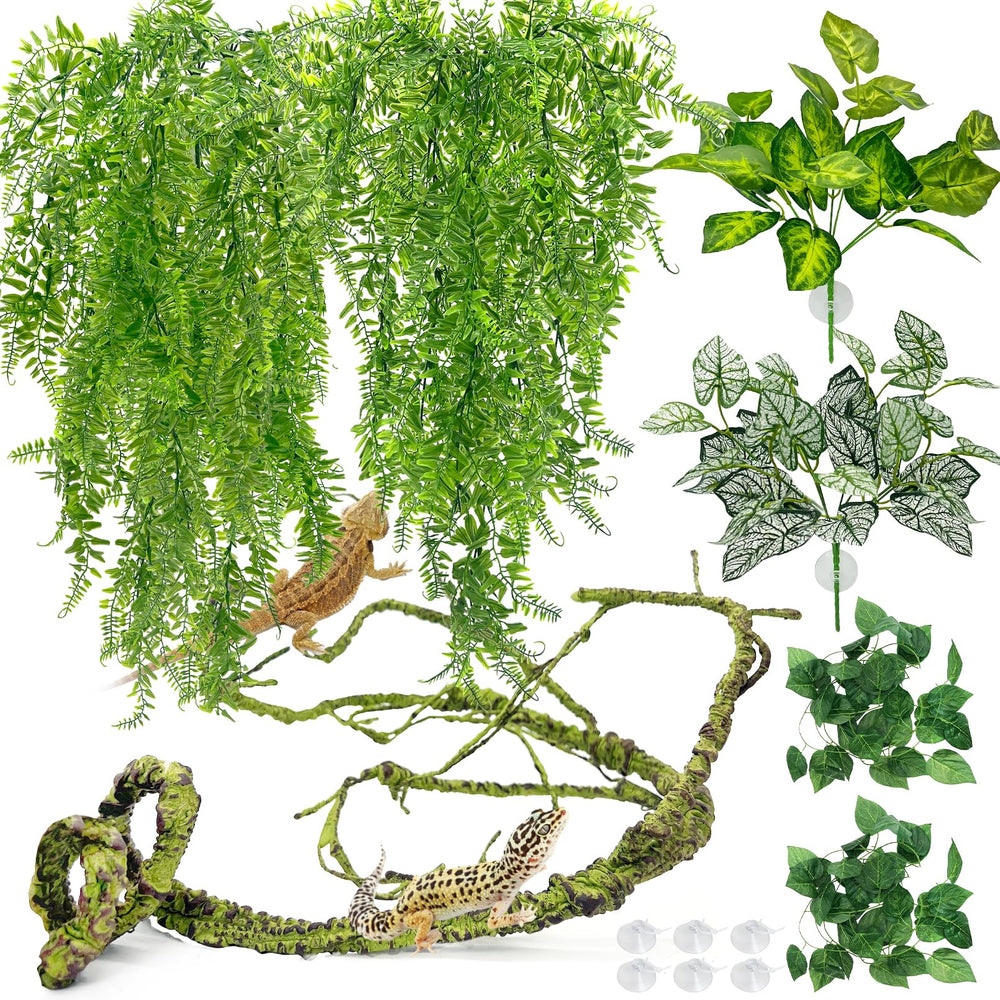 Hamiledyi reptile plants large leaf vines for terrarium decor and enrichment