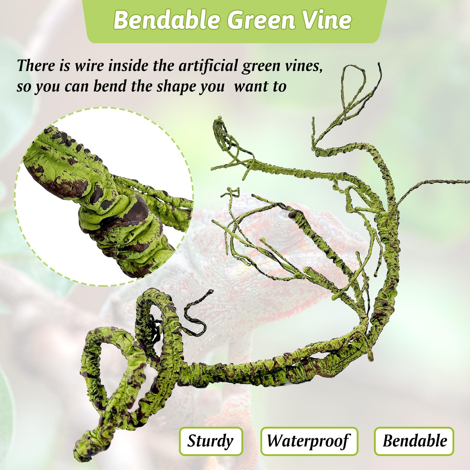 Hamiledyi terrarium suction cup back enables easy repositioning