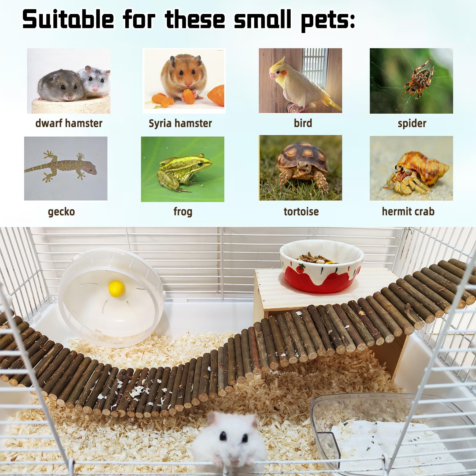 Hamiledyi rodent-exercise-toy-branch-ladder image highlights climbing and balance development through engaging play.