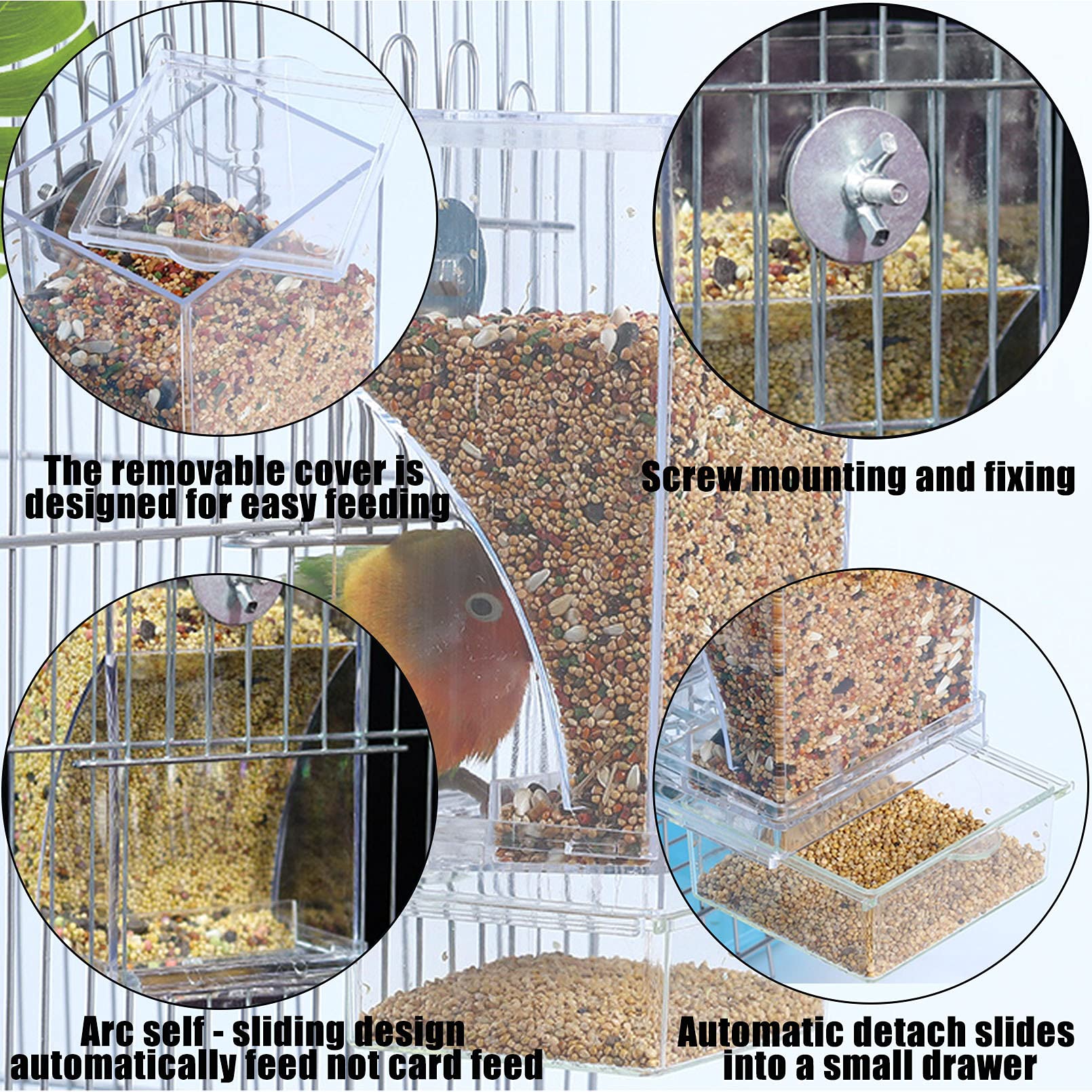 Hamiledyi slanted feeding surface prevents seed jams for smooth feeding.
