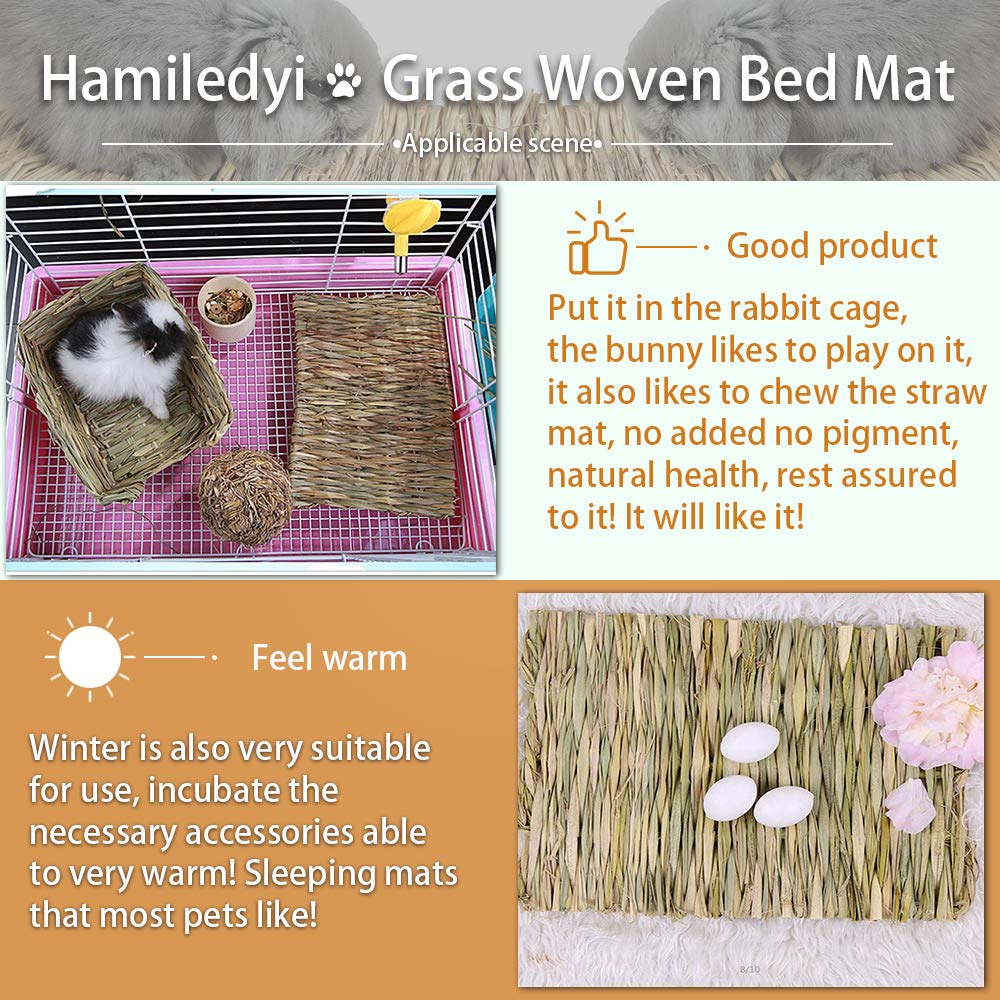Hamiledyi small animal chew toy encourages teeth wear while entertaining small pets.