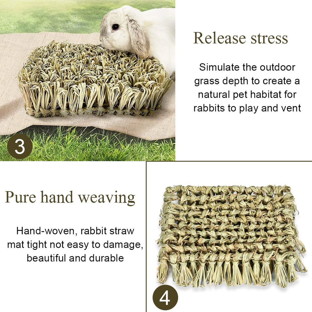 Hamiledyi small animal stress relief mat shows digging-friendly design for enrichment.