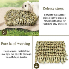 Hamiledyi small animal stress relief mat shows digging-friendly design for enrichment.