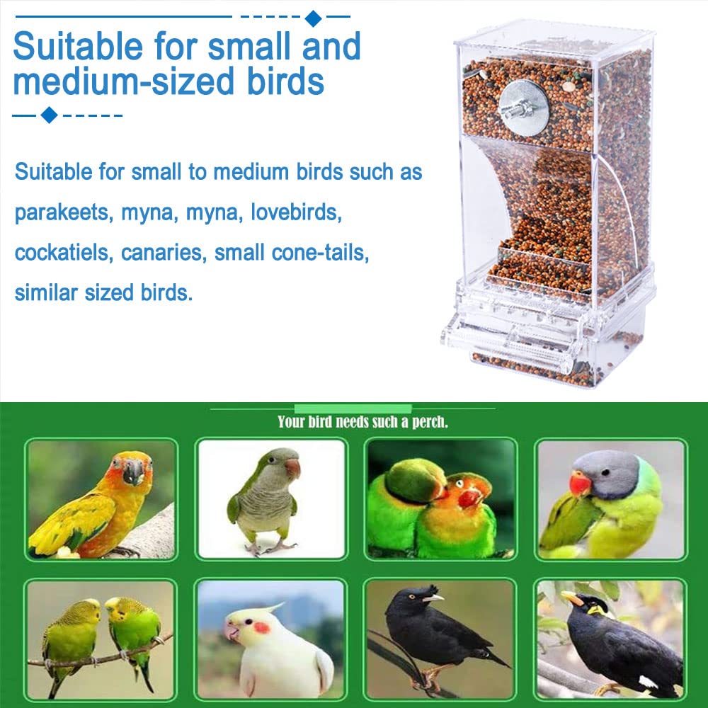 Hamiledyi compact feeder fits small cages and on the go setups.