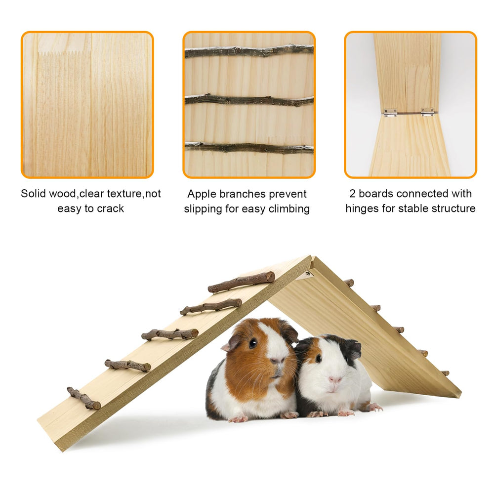 Hamiledyi small-pet-climbing-action shows active exploration and exercise potential.
