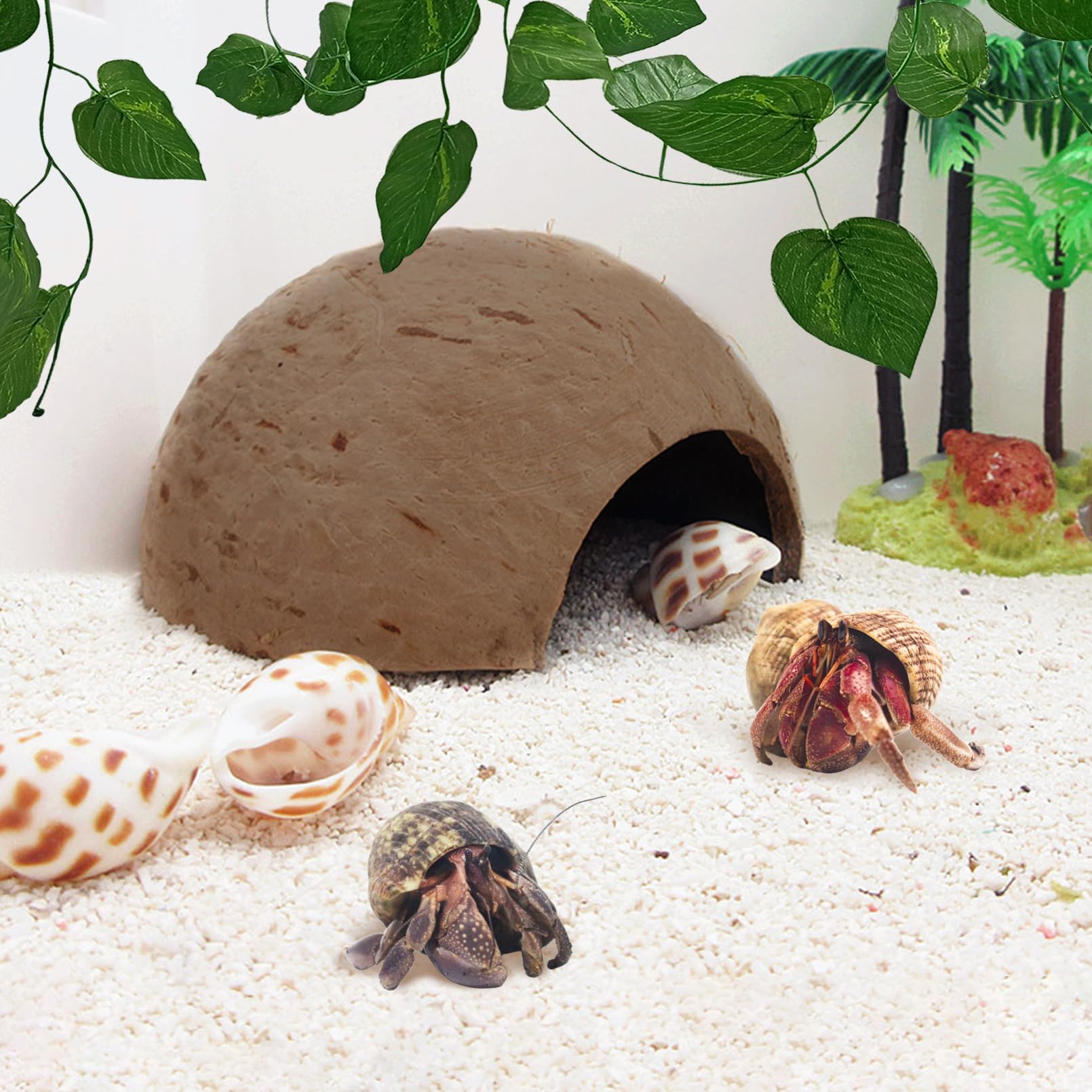 Hamiledyi small pet habitat cave promotes cozy hiding spots and rest.