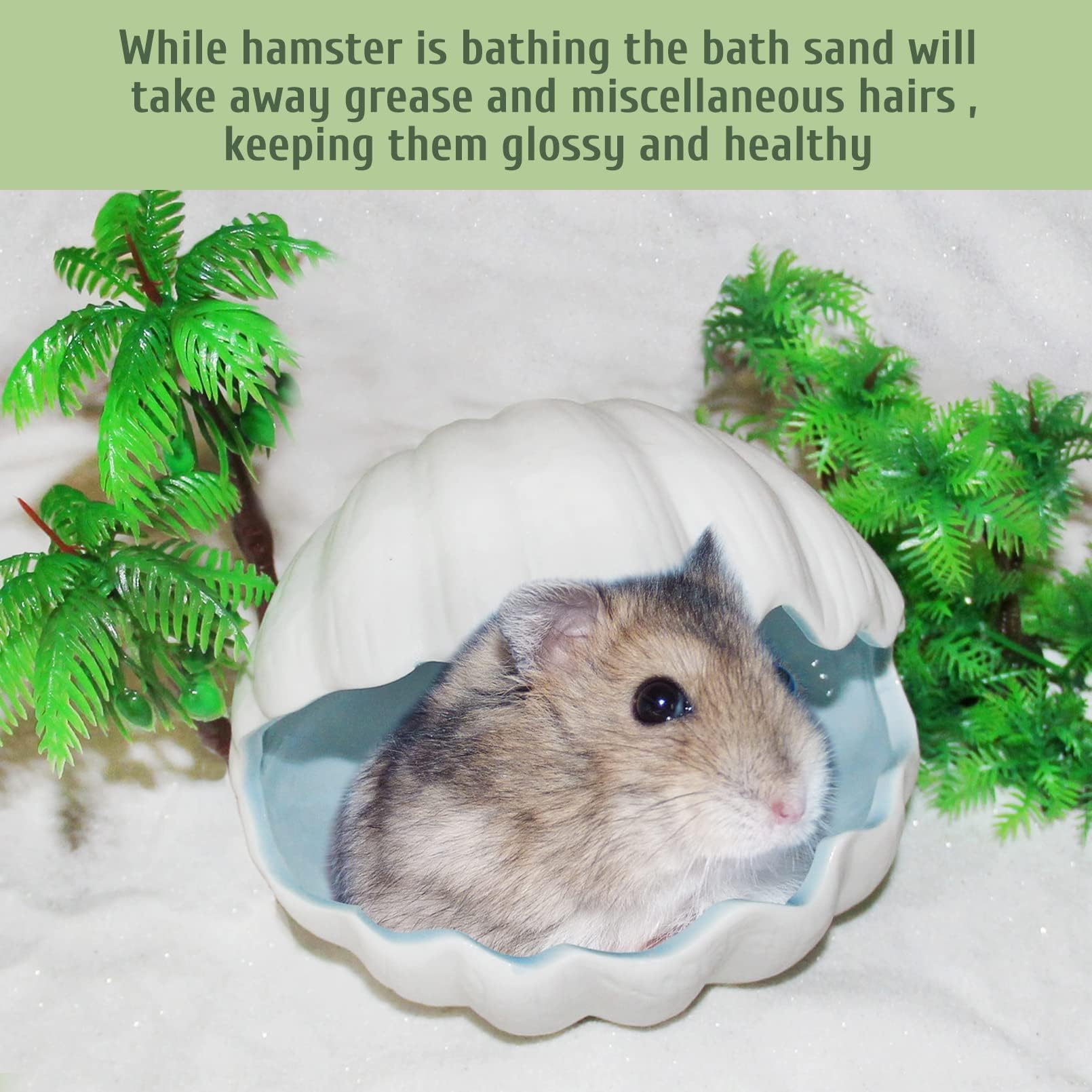 Hamiledyi small-pets bath time encourages digging and playful grooming.