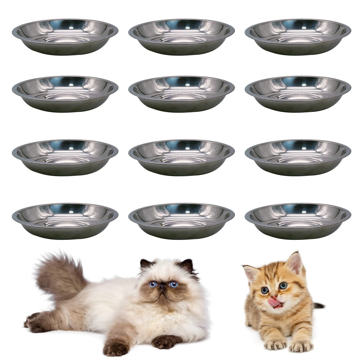 Hamiledyi stainless steel cat bowls set of 12, durable and rust-resistant for daily meals