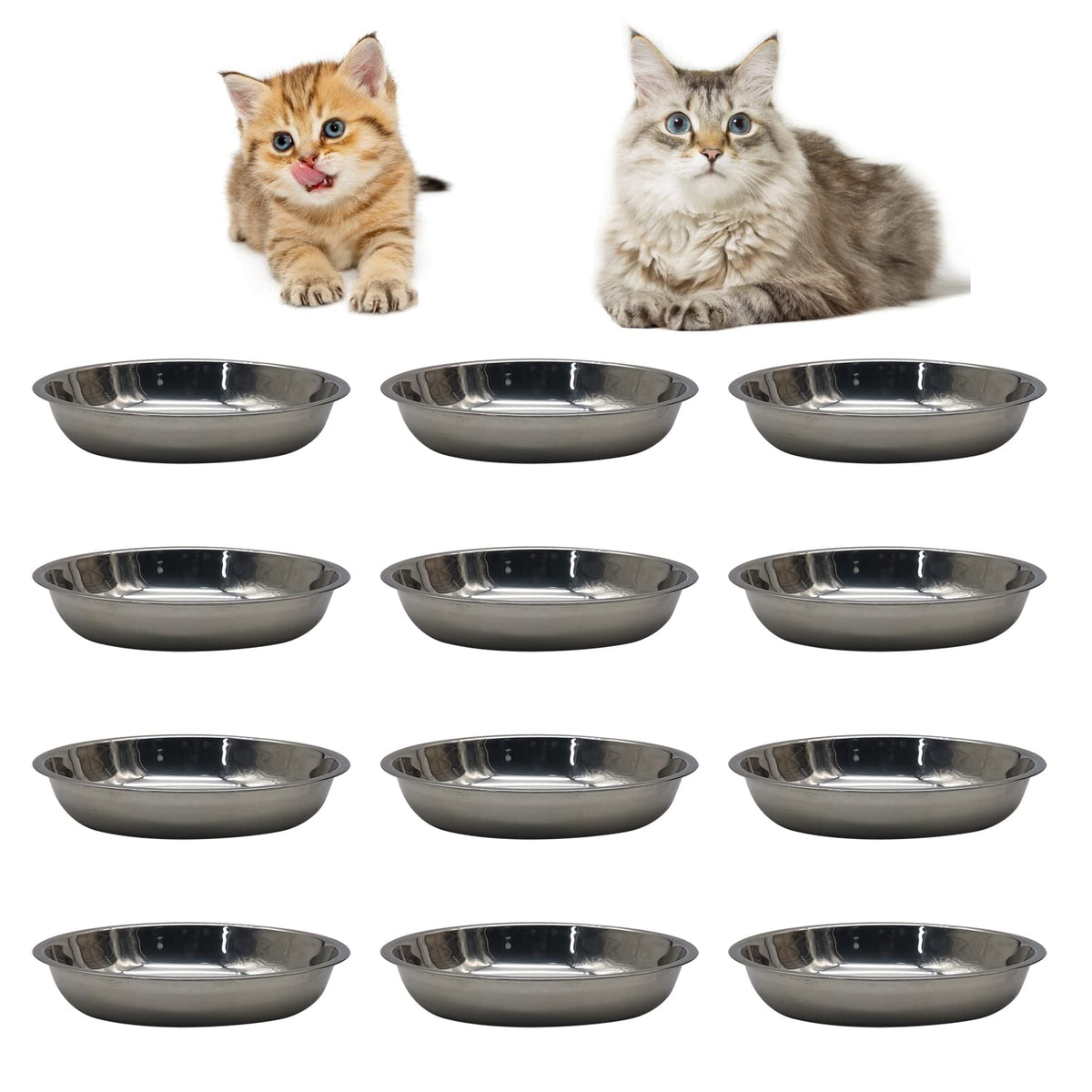 Hamiledyi stainless steel cat bowls with durable, rust-resistant design for everyday feeding.