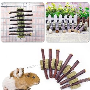 Hamiledyi suitable for rabbits, guinea pigs, hamsters and other rodents.