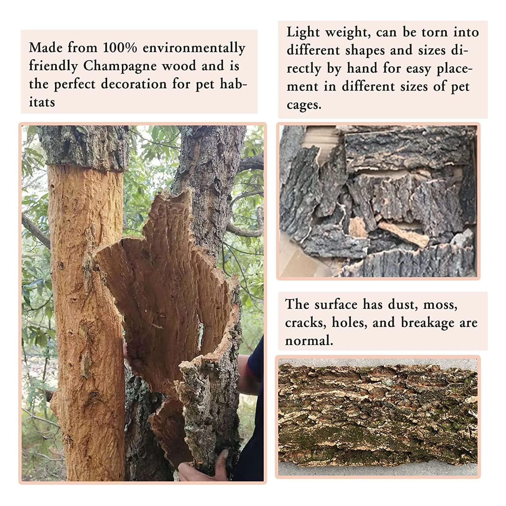 Hamiledyi terrarium habitat decor supports enrichment through climbing and exploration.