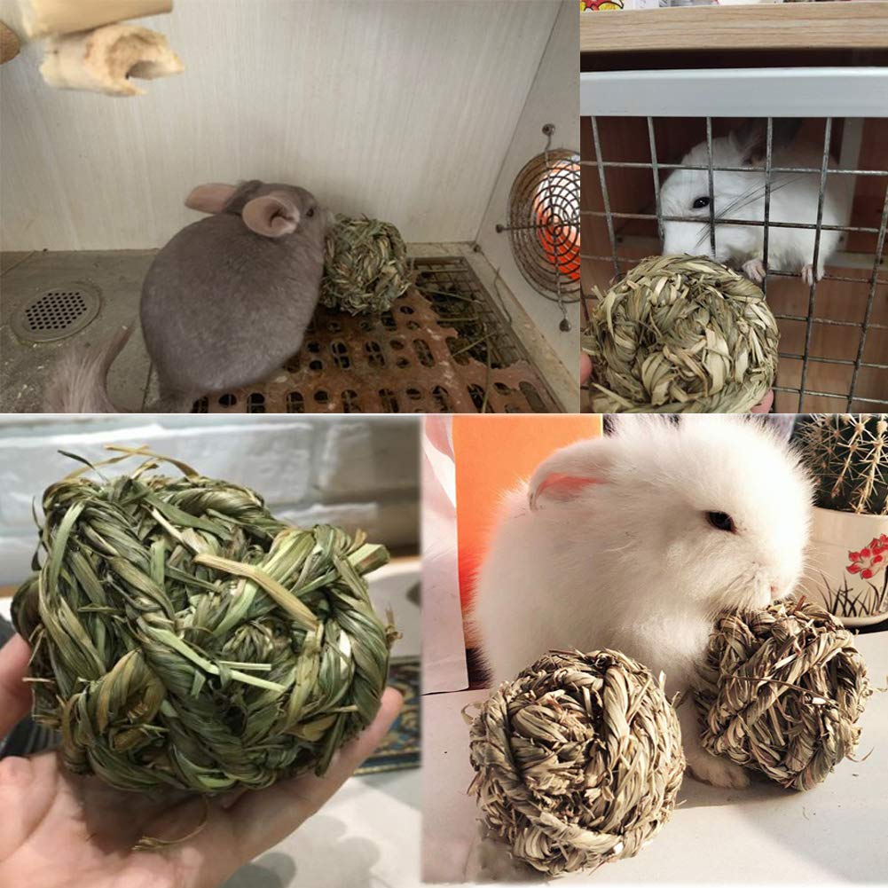Hamiledyi Timothy grass ball rolled by a small pet, encouraging active play.