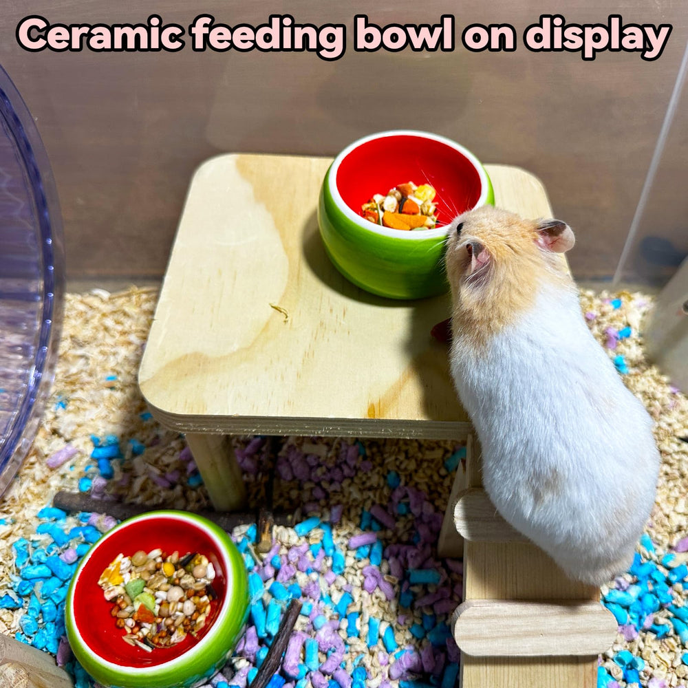 Hamiledyi two-bowl setup dual-usage for dry food and treats.