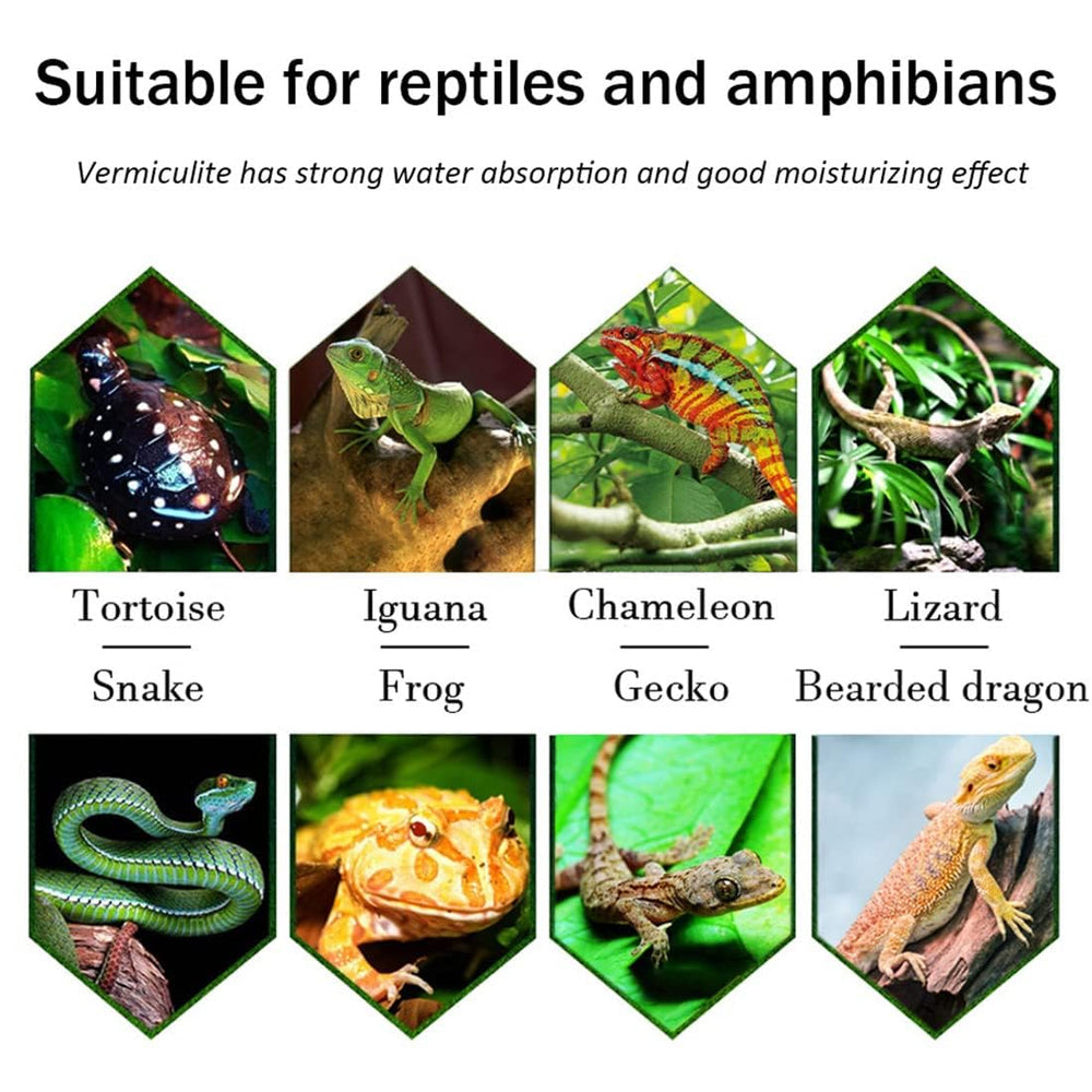 Hamiledyi vermiculite bedding egg-hatching supports incubation medium for reptile eggs.
