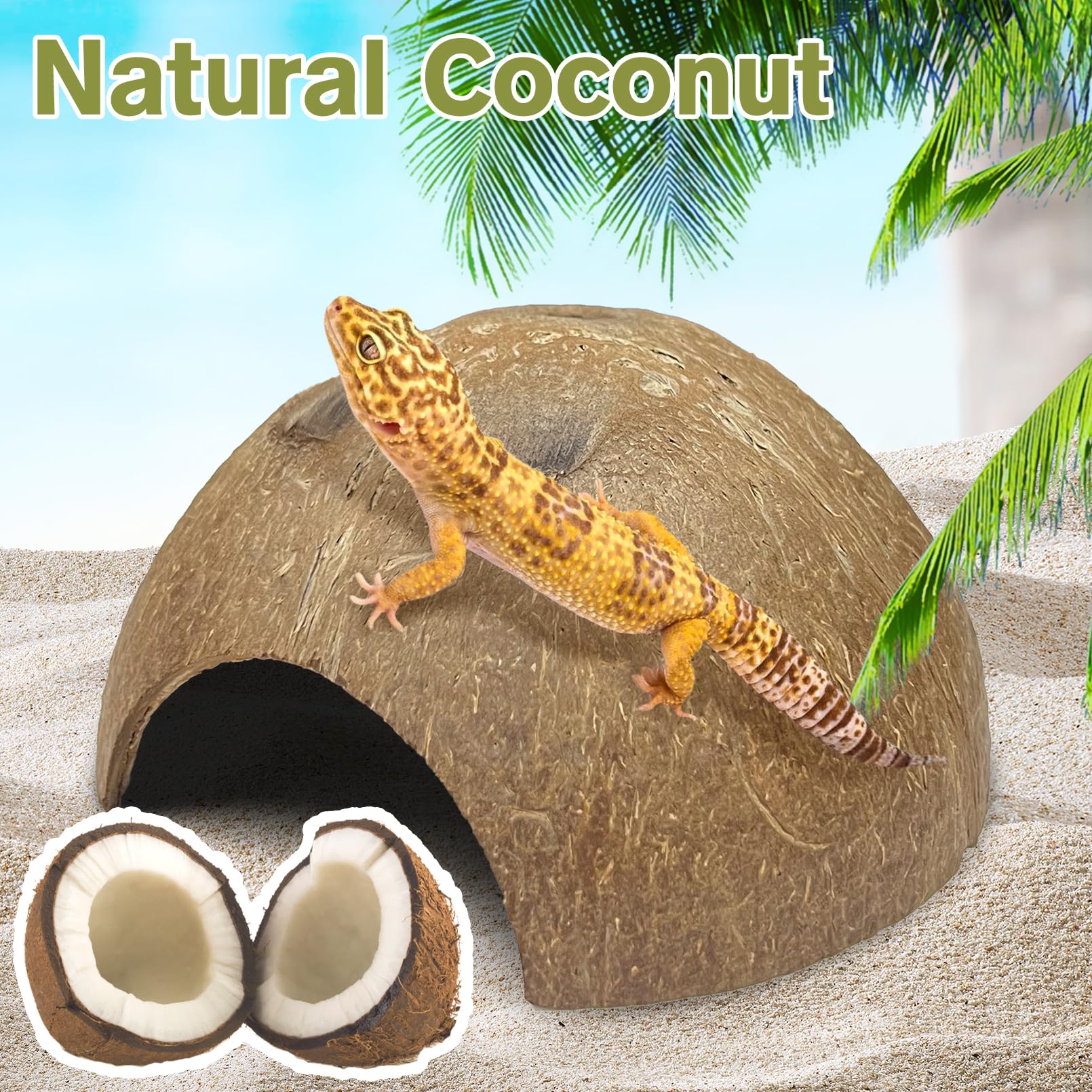 Hamiledyi water-compatible coconut hut offers shelter for fish or shrimp in tanks.