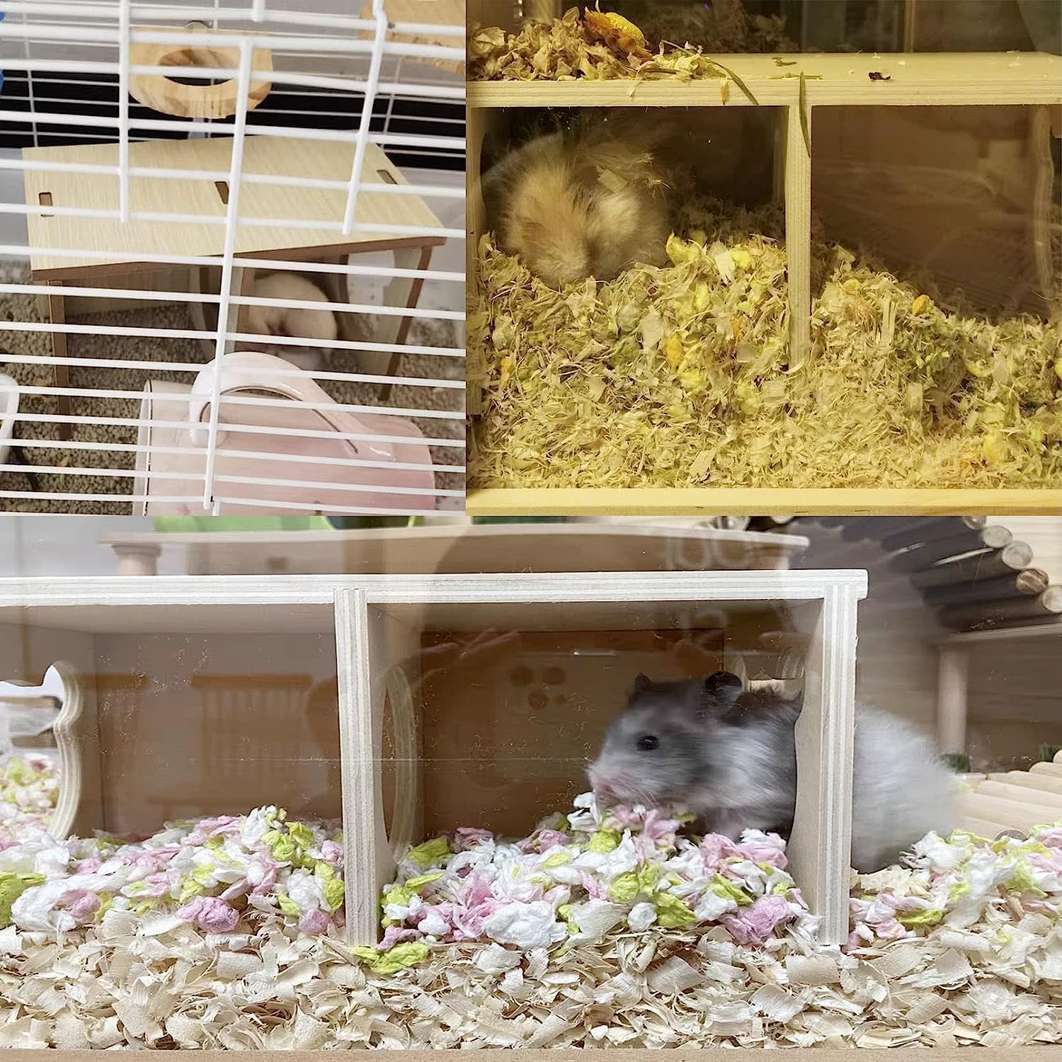 Hamiledyi two-chamber layout promotes choice between rest and nibbling for hamsters.