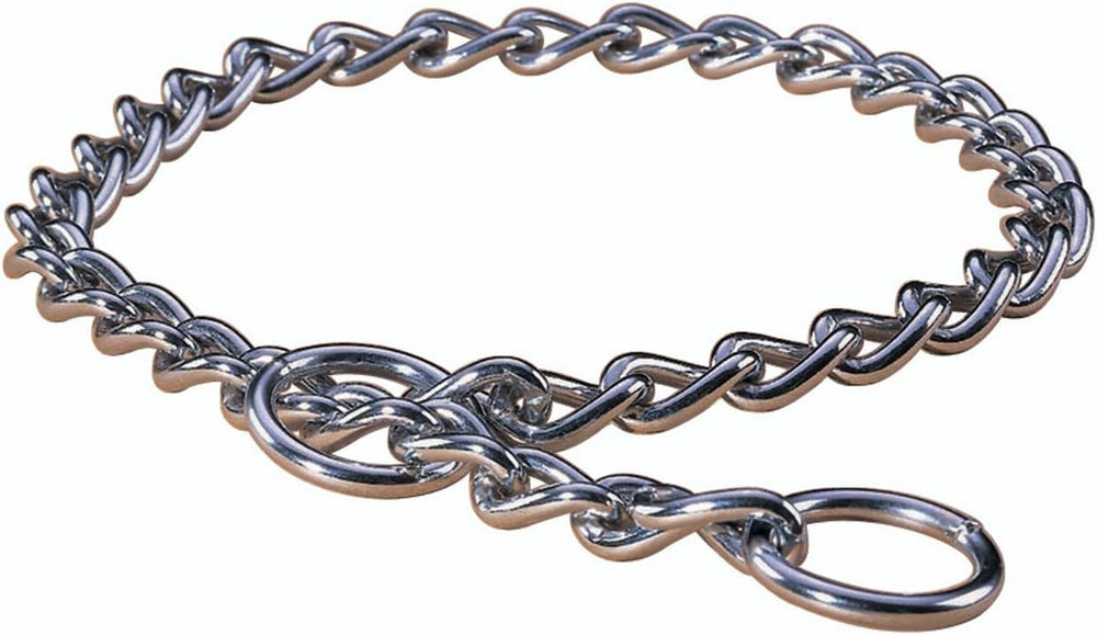 Hamilton metal slip-link collar front view shows durable training design for daily walks.
