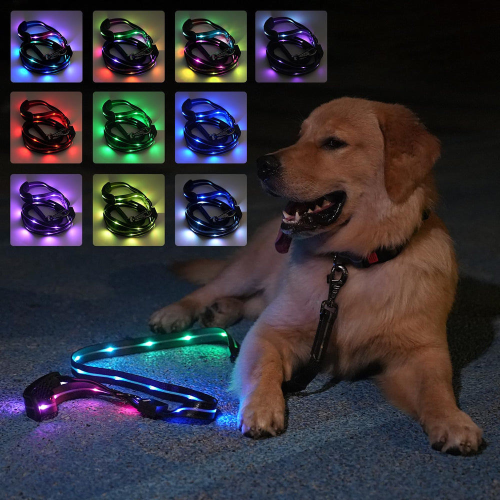 hamraba 5ft light up dog leash front view boosts visibility for night walks