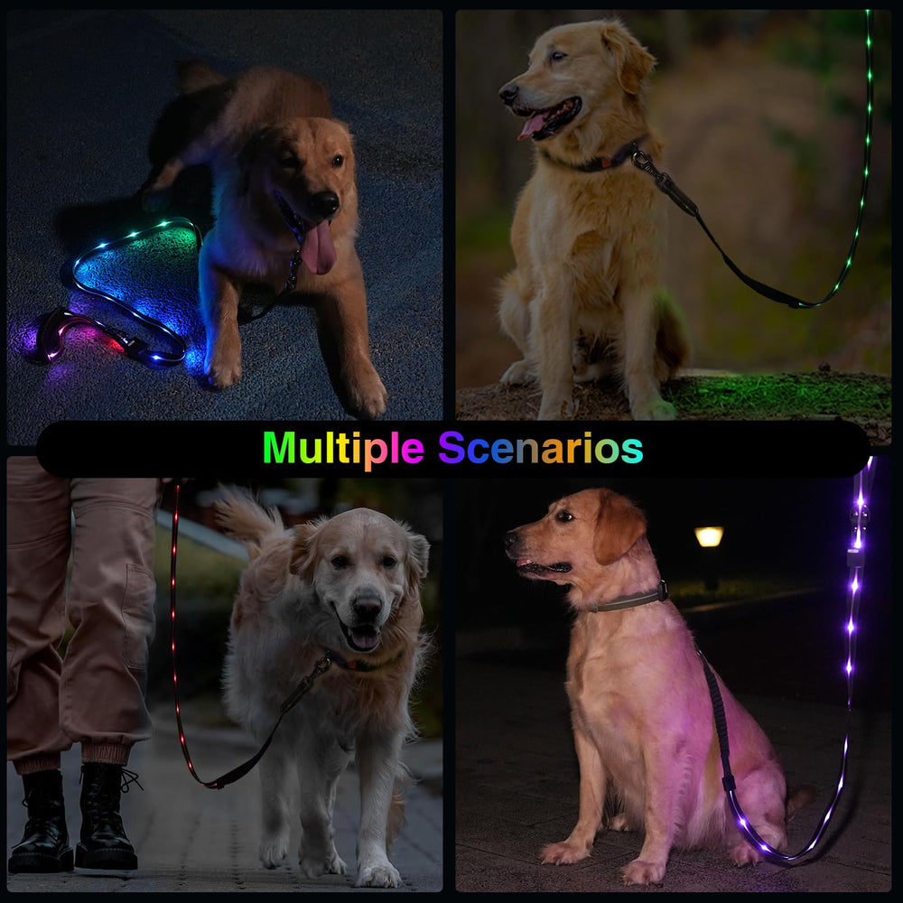hamraba night-walk leash with reflective glow enhances evening visibility