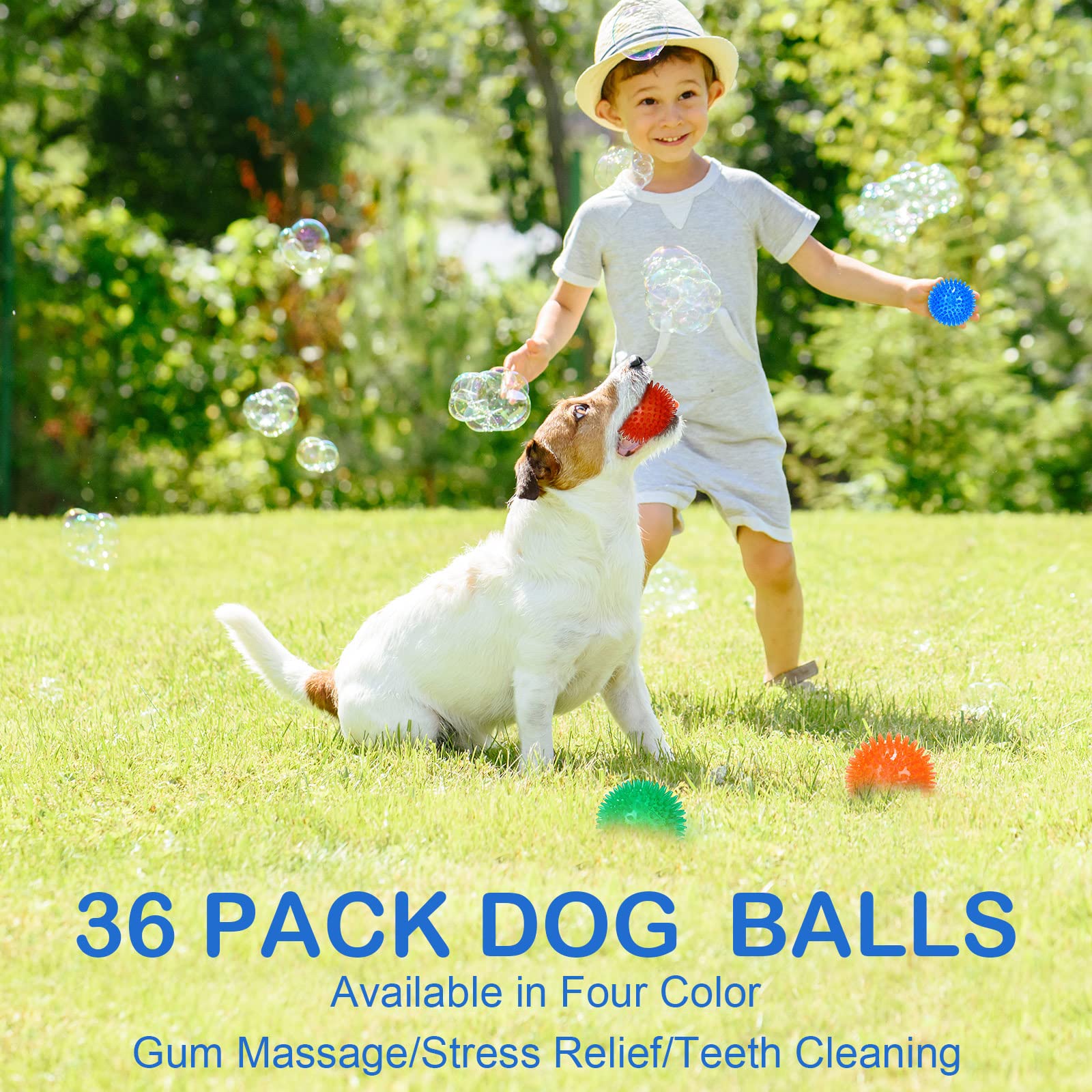 Hanaive colorful-pack dog toys ready for park play and training sessions