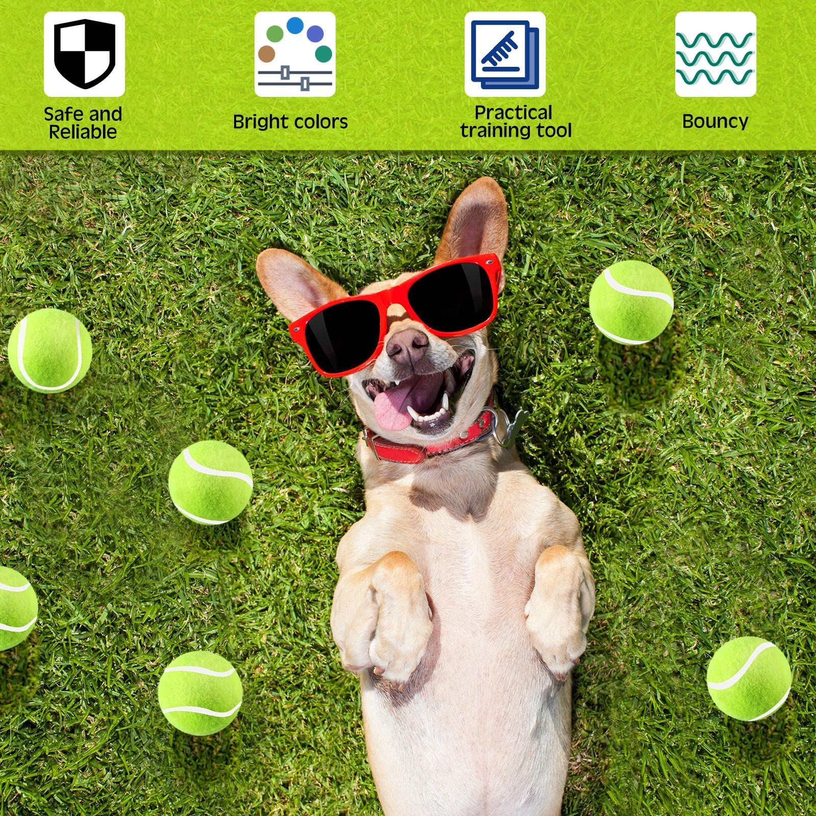Hanaive dog fetch toy action shot promotes indoor and outdoor play.