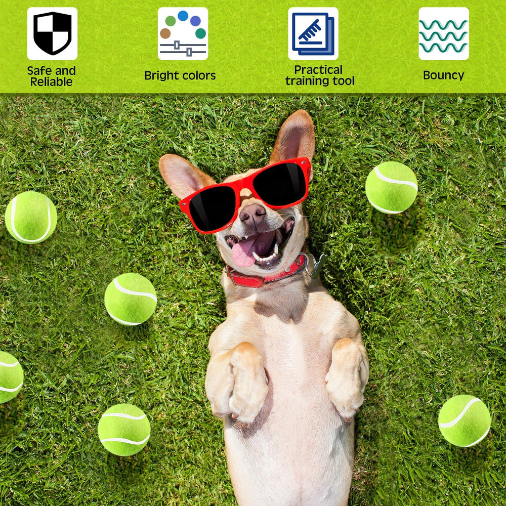 Hanaive dog fetch toy action shot promotes indoor and outdoor play.