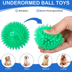 Hanaive squeaky ball in action for fetch training outdoors