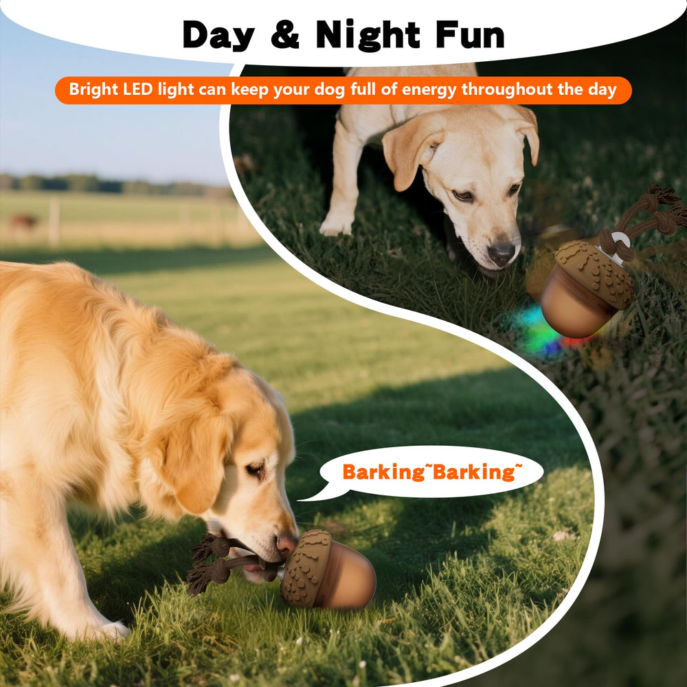 Hanarook Acron interactive dog ball rope-chase view invites tug and chase.