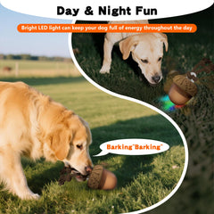 Hanarook Acron interactive dog ball rope-chase view invites tug and chase.