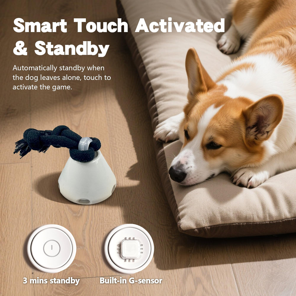 Hanarook interactive ball with barking sounds adds realistic chase excitement