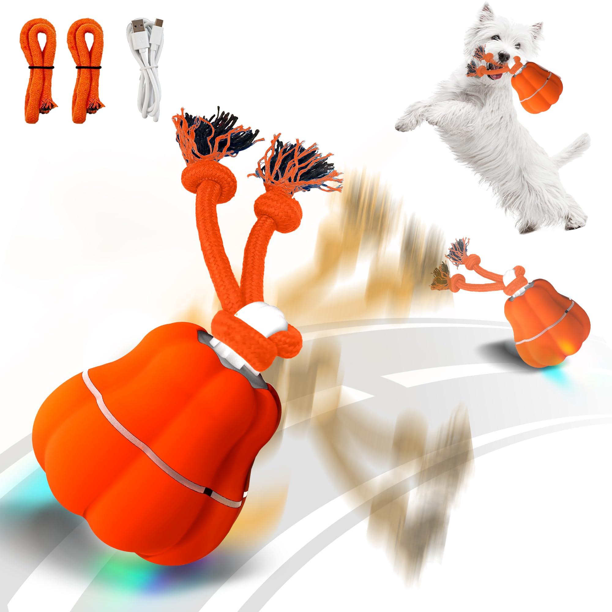 Hanarook pumpkin-dog-ball front-view shows motion-activated play for active dogs